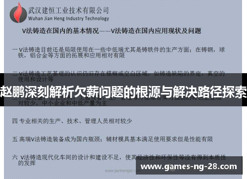赵鹏深刻解析欠薪问题的根源与解决路径探索 赵鹏深刻解析欠薪问题的根源与解决路径探索